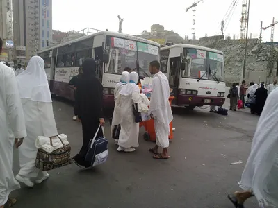 Rombongan jamaah menaiki bus untuk kebutuhan transportasi di Arab Saudi